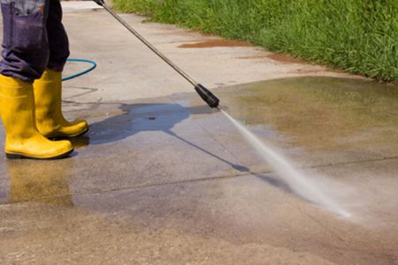 Elkhorn pressure washing